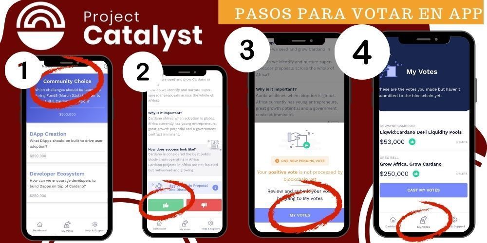 pasos para votar en App Catalyst